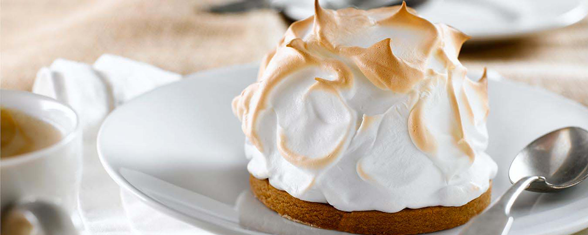 Photo of - Baked Mocha Alaskas